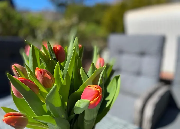 Appartement Robin Hood Kampen